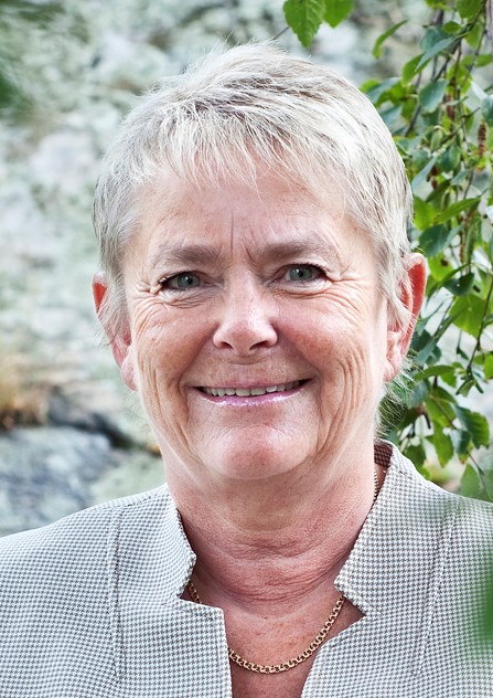 Sonja Schough, ledamot