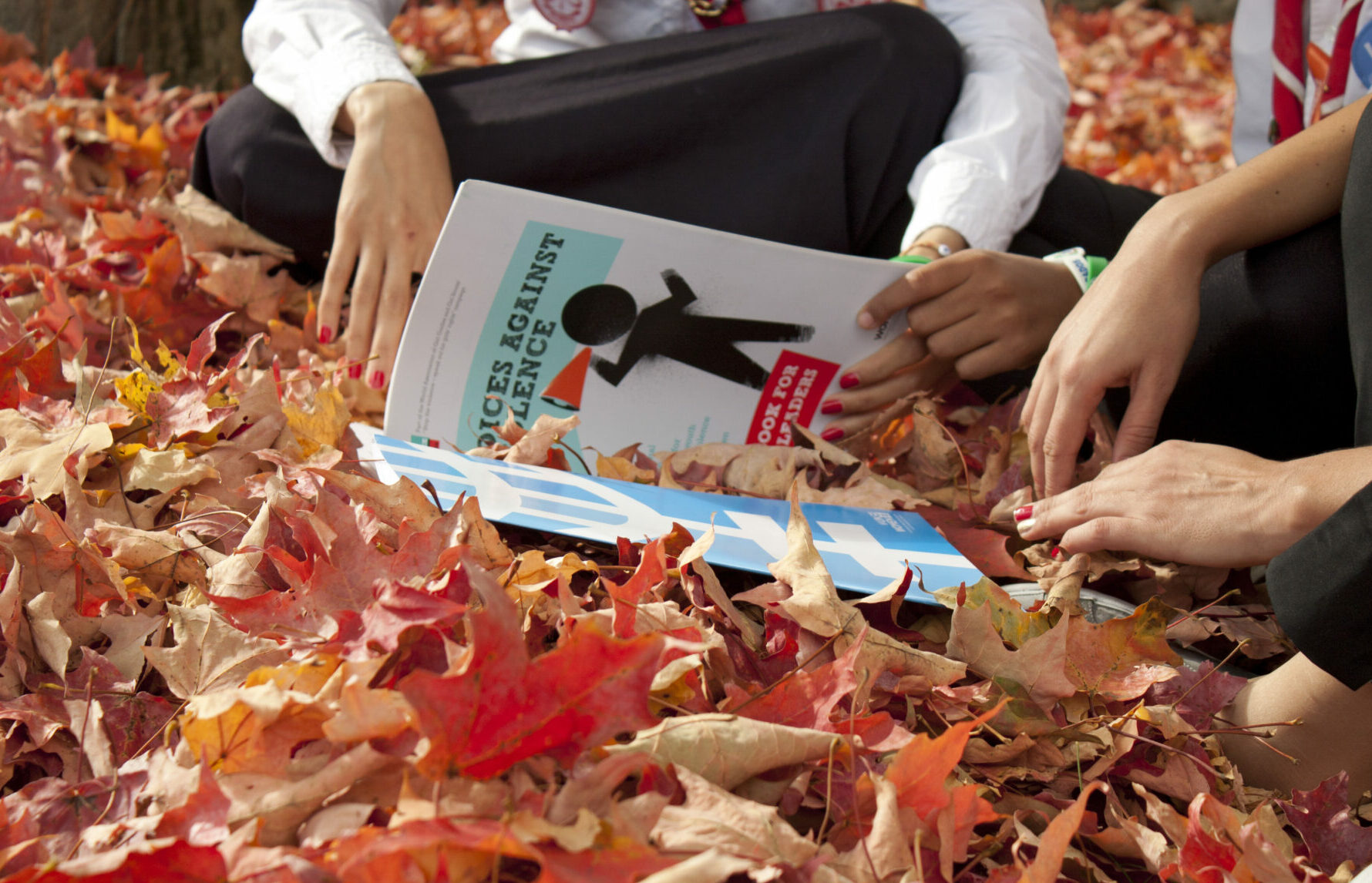 Stöd och rådgivning till överlevare av sexuellt våld